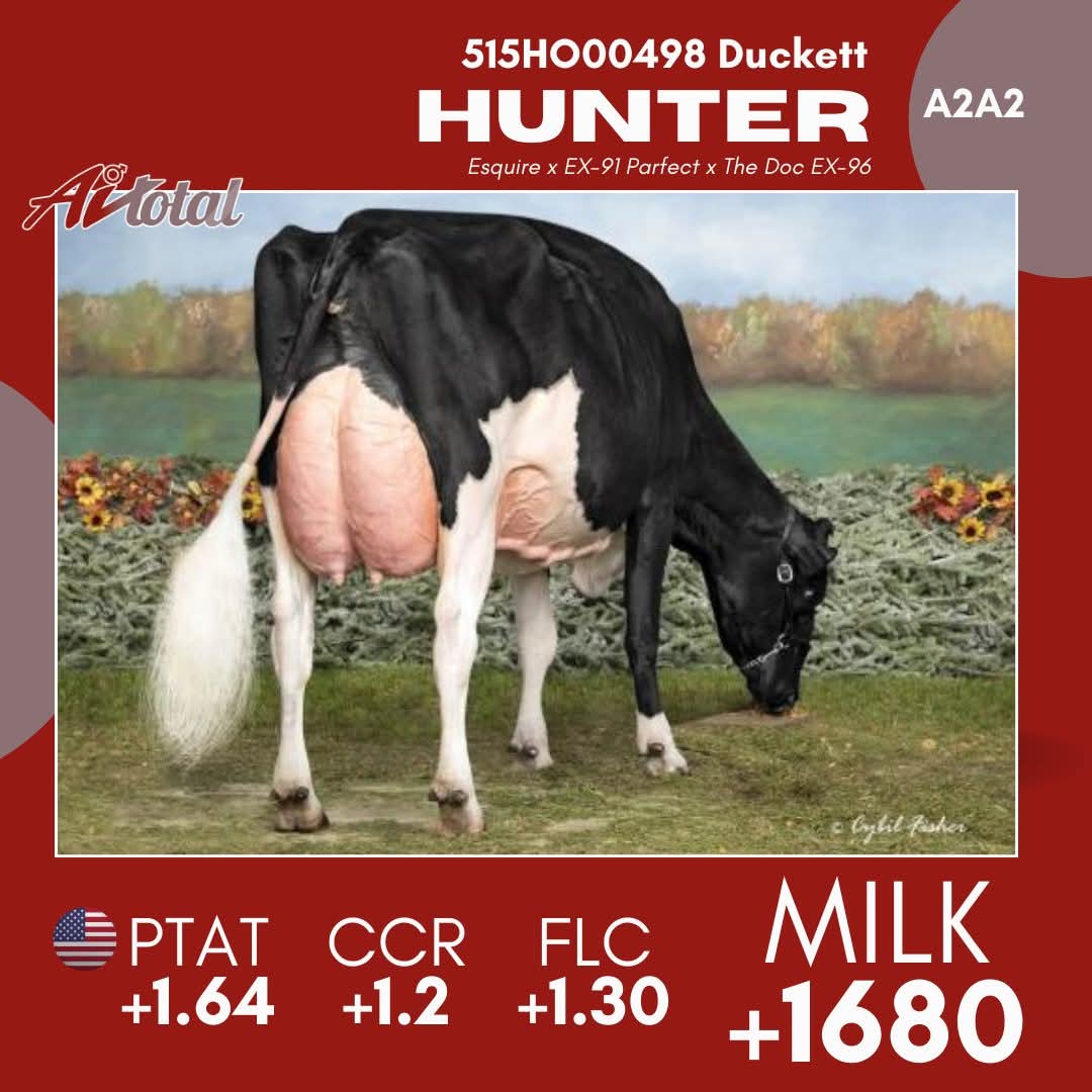 HUNTER-ET — 515HO00498